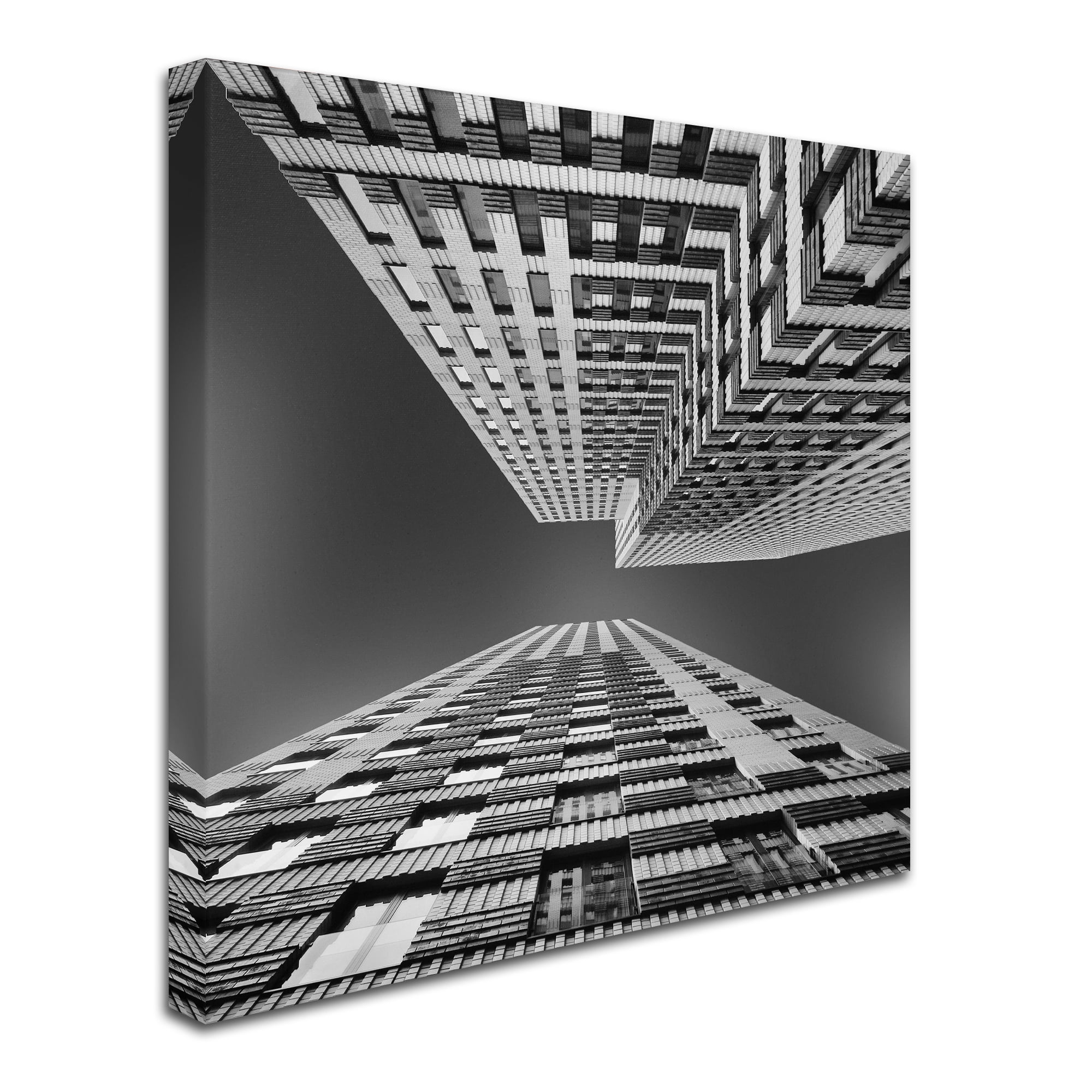 Trademark Fine Art 'Symphony' Canvas Art by Jeroen Van De Wiel