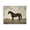 Distressed Horse Countryside Portrait, variant on Stupell Industries Distressed Horse Portrait Canvas Wall Art, design by Petal Prints Design