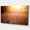 thumbnail image 2 of Brown Tinged Lavender Field Sunset - Floral Canvas Art Print, 2 of 3
