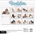thumbnail image 5 of Trends International 2025 Buddies Wall Calendar & Push Pins, 5 of 5