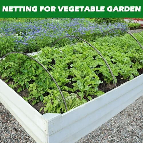 Bird Netting 25'x50' with 2" Mesh Garden Net with Bird Scare Tape, Avian Nettings for Chicken Coop Roof, Heavy Duty Nylon Nettings for Garden, Chicken Coop Netting Fruit Tree Net