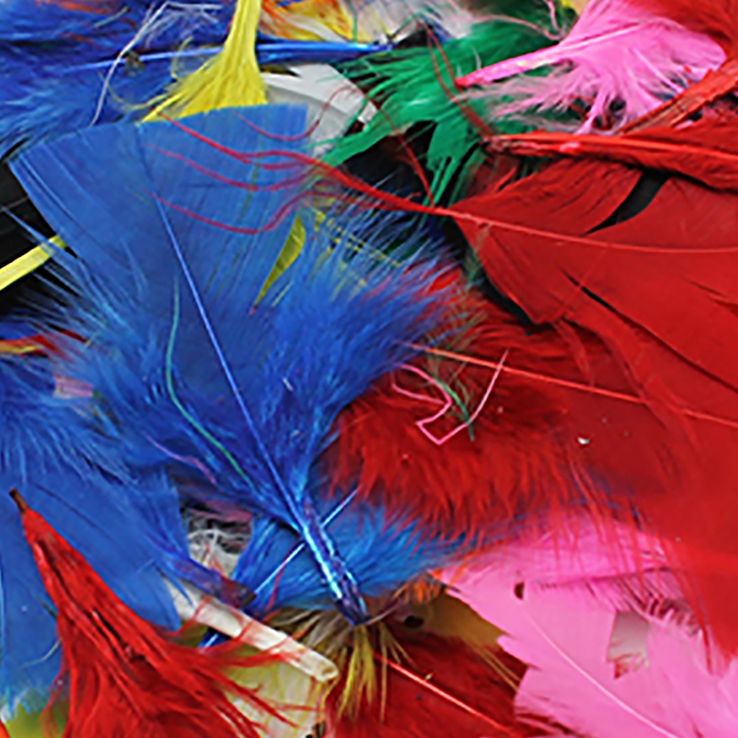 Charles Leonard Turkey Feathers, Bright Colors, 14 Grams Per Pack, 12 Packs