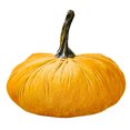 thumbnail image 2 of 3uds. Calabaza de cosecha artificial hecha a mano para otoño Halloween Acción de Gracias (amarillo), 2 of 2