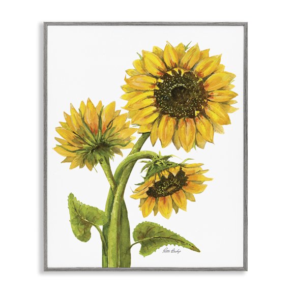 Stupell Industries Farmhouse Sunflower Trio on White Gray Framed Giclee Art, 16 x 20, by Patti Bishop