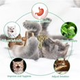 thumbnail image 4 of BESEW7 Natural Cat Chew Toy with Catnip Silvervine, Fishbone Shape Wooden Teeth Cleaning Stick for Indoor Cats Interactive Play Dental Care, 4 of 9