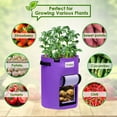 thumbnail image 3 of Potato Grow Bags,3-Pack 10 Gallon Plant Growing Bags Thickened Non-Woven Fabric Pots with Handles, 3 of 10