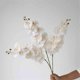 thumbnail image 4 of Jarrón de vidrio blanco con una sola flor de Phalaenopsis, flores artificiales, arreglo decorativo for sala de estar., 4 of 6