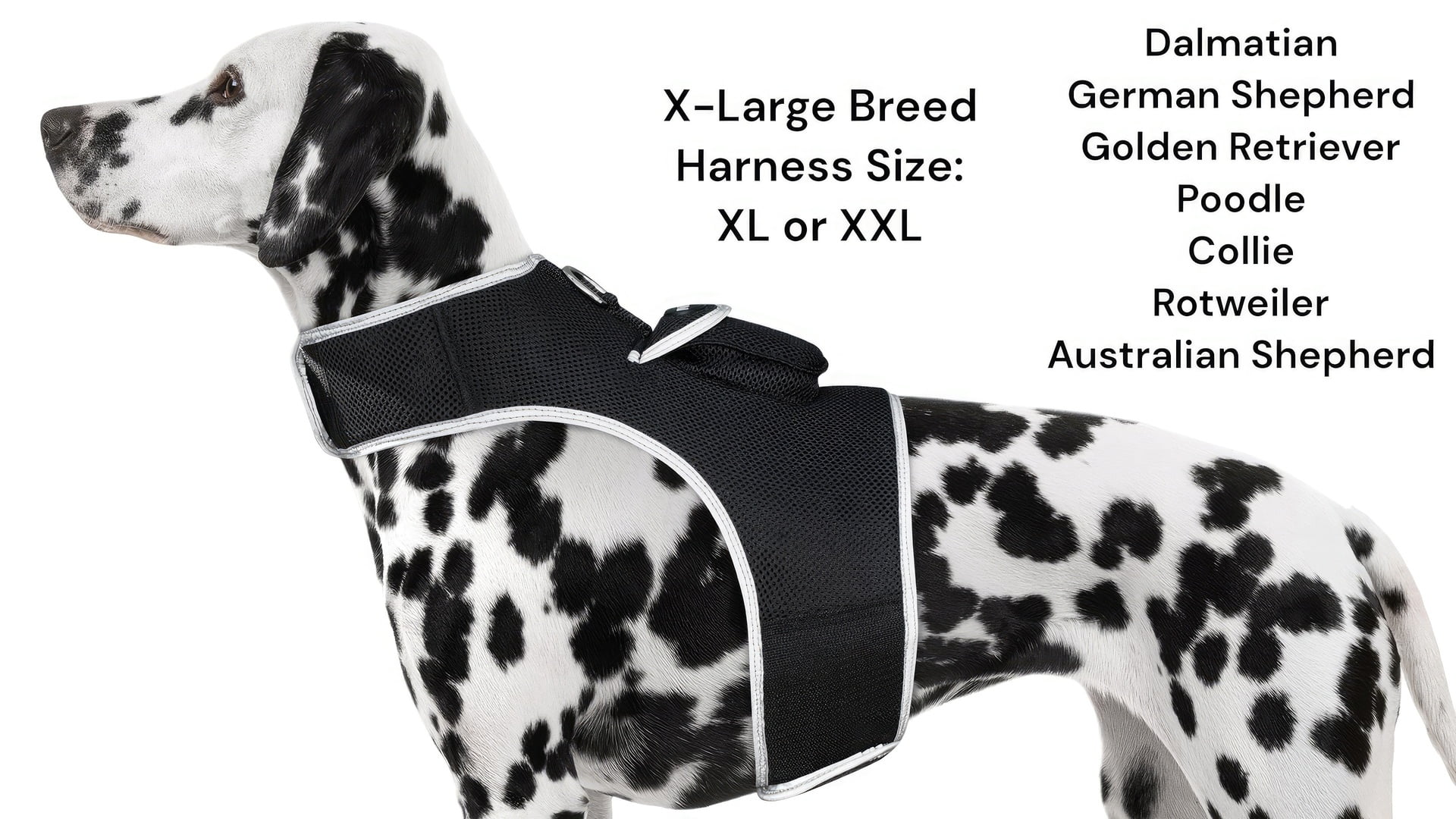 High Quality GSM GPS Cat Dog Tracker Collar Mini Pet Tracking Device Size:L