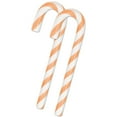 thumbnail image 5 of Pacific Northwest Salmon Flavored Candy Canes – Set of 6 Novelty Pink & White Candy Canes, Fun Holiday Treat, 5 of 6