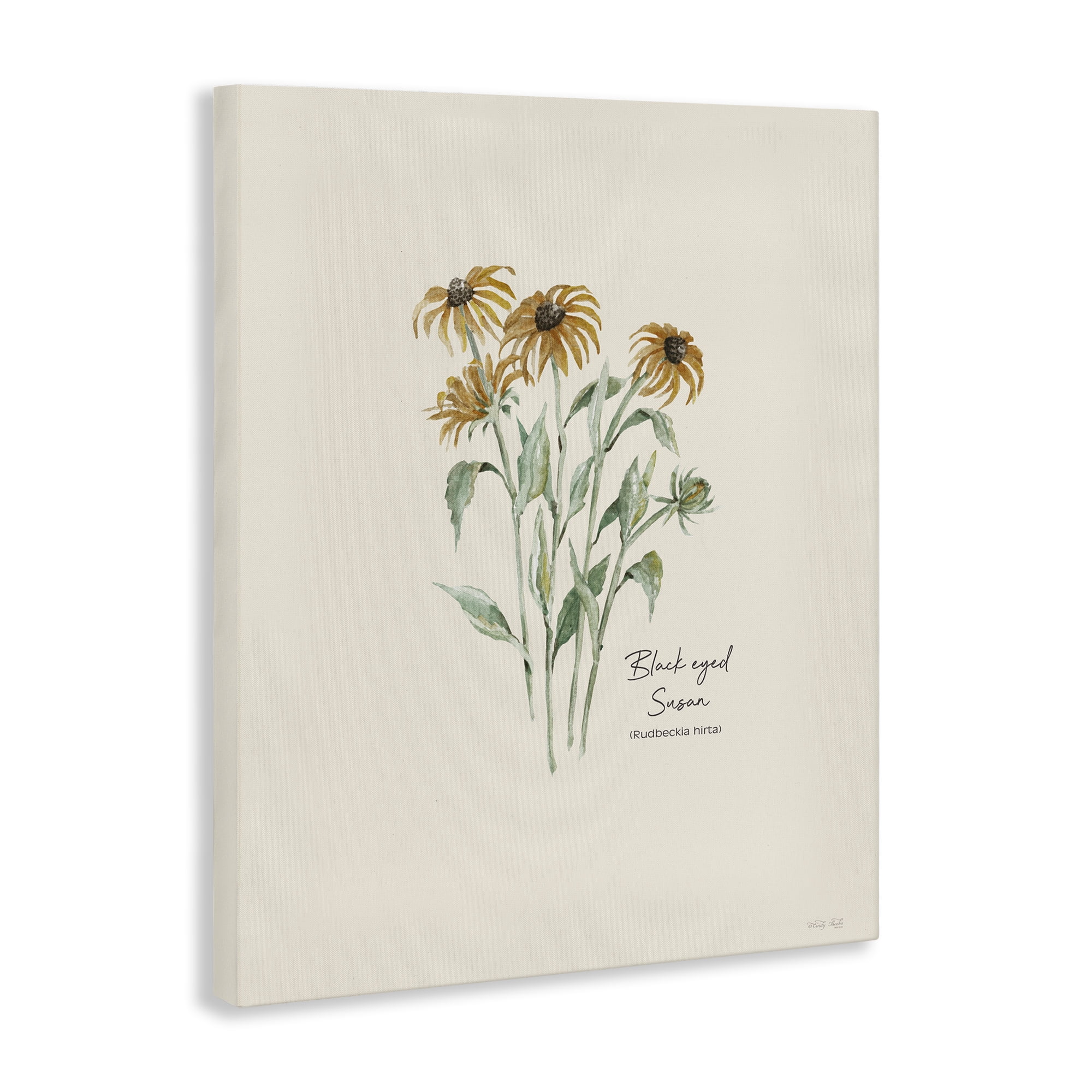 Stupell Industries Black Eyed Susans Botanical & Floral Painting Gallery Wrapped Canvas Art Print Wall Art, 24 x 30