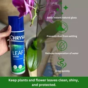 Pokon Chrysal Leaf-Shine 6 oz Spray