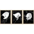 thumbnail image 5 of PixonSign Framed Canvas Print Wall Art Set - Black & White Calla Lily Flower Poster Art - Set of 3 Nature Wilderness Floral Plants Photography Wall Décor for Living Room - 12"x16" Natural, 5 of 5