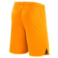 thumbnail image 3 of Men's Nike Orange Netherlands National Team Home Performance Stadium Shorts, 3 of 3