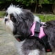 thumbnail image 4 of Pechera Arnés para Perro Mr. Pets, Reflectante Ajustable rosa Chico, 4 of 8