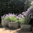 thumbnail image 6 of WHW French Country Style Oval Belly Planters, Set of 3, Gray, Galvanized Metal, Corrugated Cache Pots, 24.5, 20 and 14.5 inches, 6 of 8