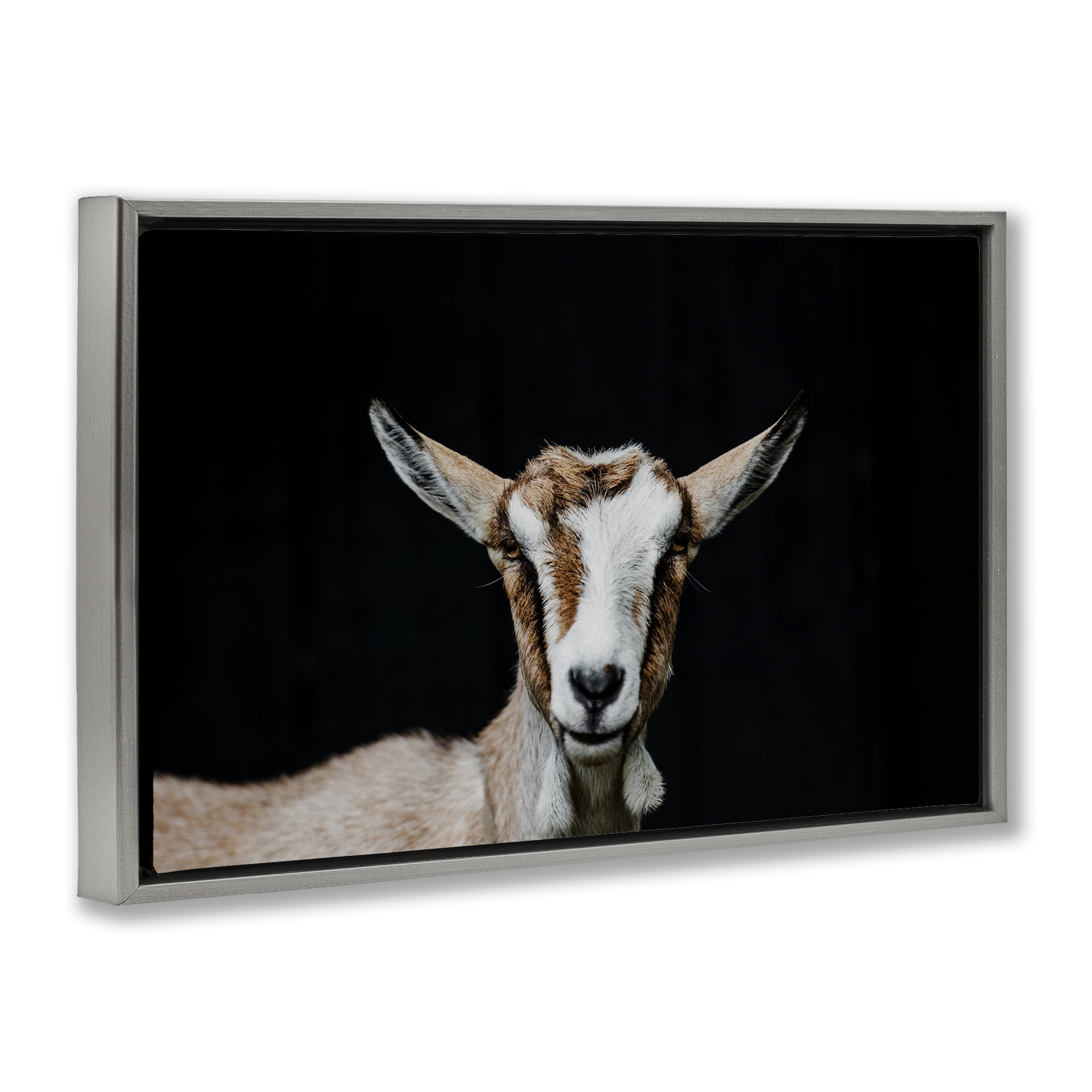 Goat Face over Black Gray Framed Floater Canvas Wall Art, design by Amy Carroll