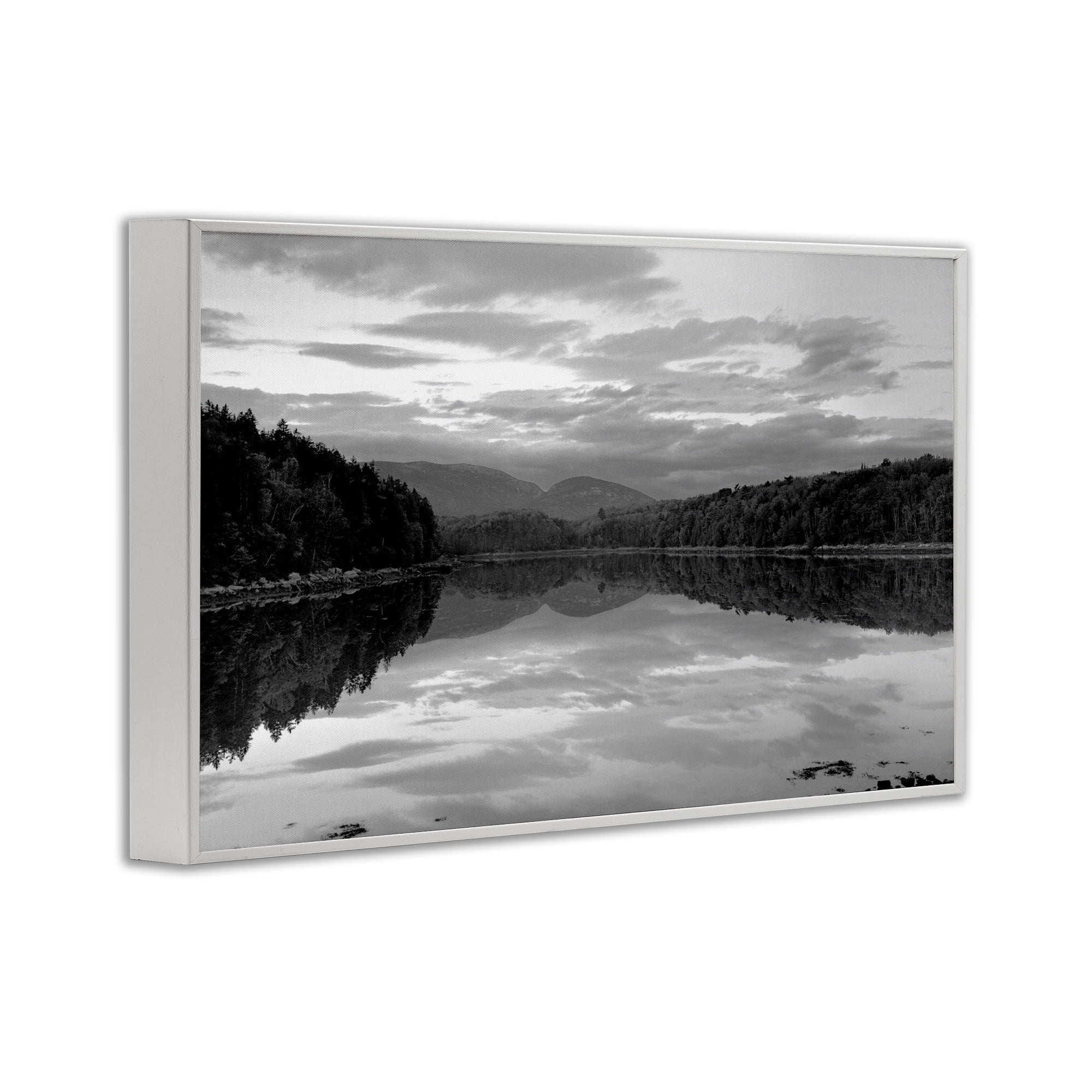 Stupell Industries Acadia Reflection in Monochrome White Framed Giclee Art, design by MJ Photography