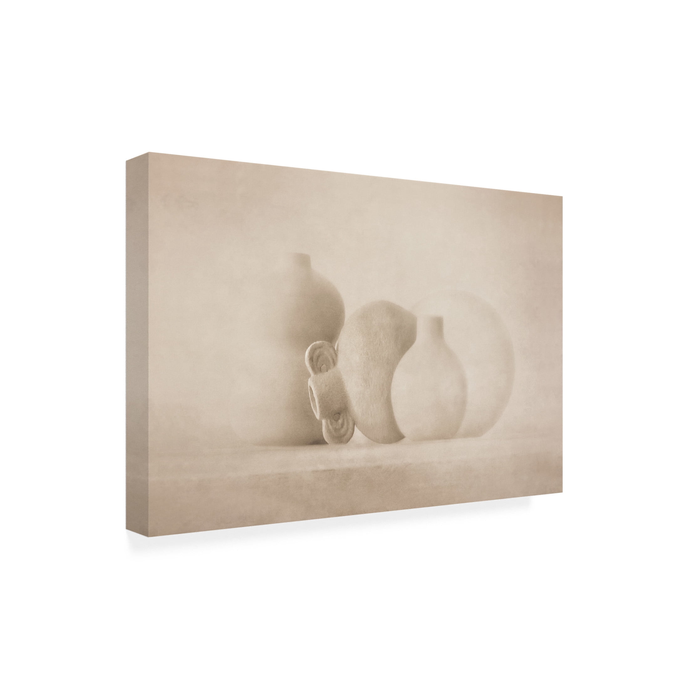 Trademark Fine Art Elena Arjona Leaning Canvas Wall Art