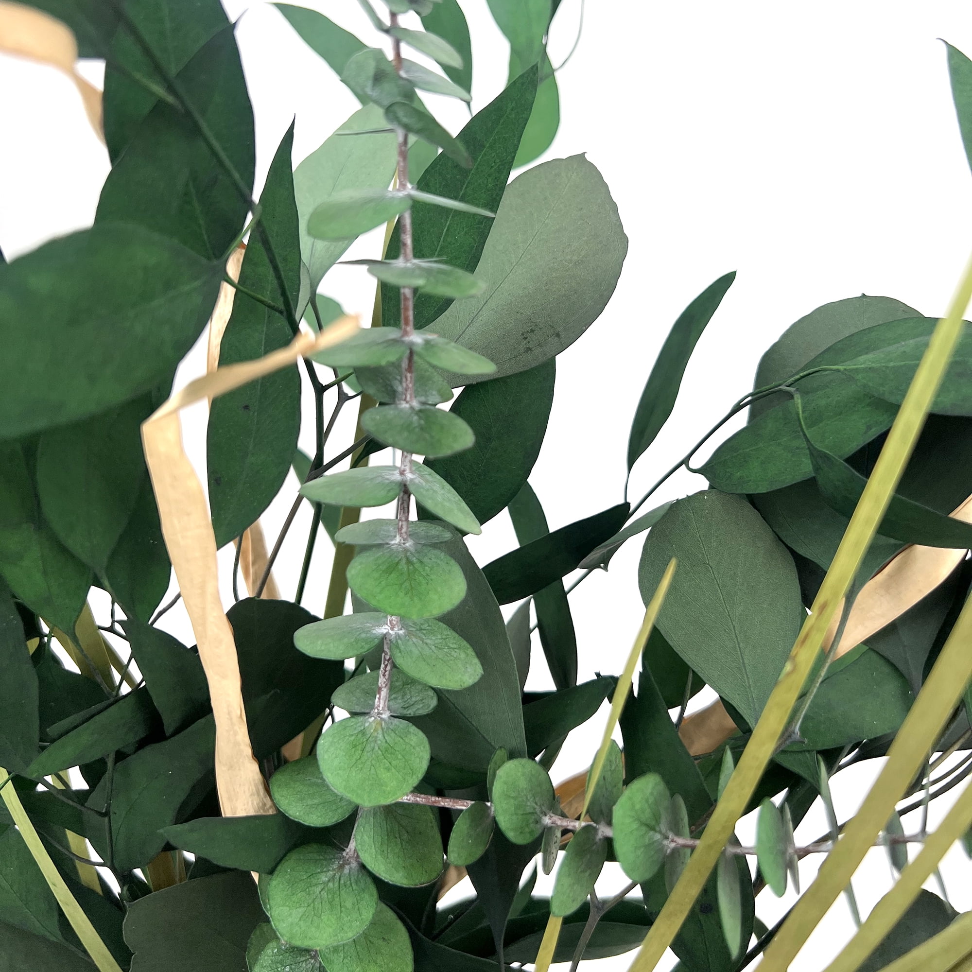 Botanical Avenue Eucalyptus Mix Green Bouquet - Indoor Decor, Artisan Crafted, Dried Floral Arrangement