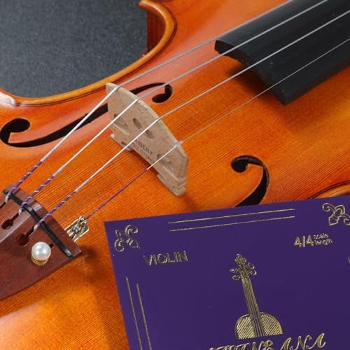 Violin Strings,Violin Strings 4/4 Full Set, Medium Tension - Solid Steel Core, Warm Tone, Economical and Durable – For All Levels