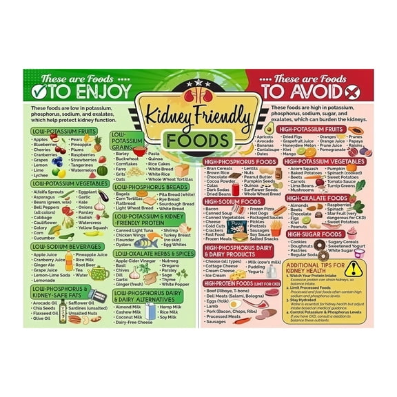 Low Phosphorus Potassium Diet Guide CKD Nutrition Poster Renal Friendly Foods Chart Easy Read Grocery List for Patients Clinic Kitchen Wall Art