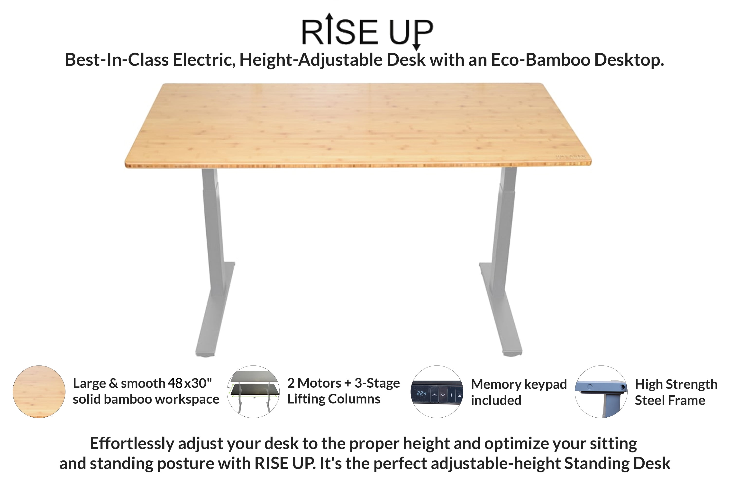 Rise Up Dual Motor Adjustable Height Electric Standing Desk 48x30