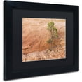 thumbnail image 2 of Trademark Fine Art "Lone Survivor" Canvas Art by Michael Blanchette Photography Black Matte, Black Frame, 2 of 4