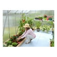 thumbnail image 5 of Palram - Canopia Essence 8' x 12' - Polycarbonate/Aluminum Walk-In Greenhouse - Silver - with 2 Roof Vents, 5 of 12