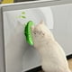 thumbnail image 4 of Cepillo de aseo para gatos con forma de guisante | Cepillo interactivo de masaje con hierba gatera para eliminar el pelo suelto | Cerdas de plástico suaves para pelo corto y largo | Fácil de, 4 of 6