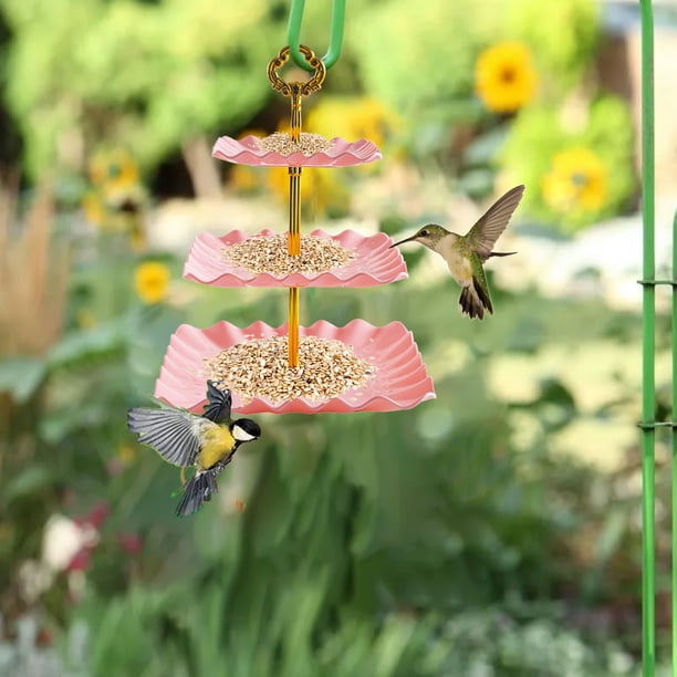 Bebedero Colgante de Vidrio para Pájaros de 10 Pulgadas | Bebedero para Colibrí de Jardín Exterior | Bebedero Decorativo para Patio | Cuenco Poco Profundo de Fácil Limpieza | Cadenas Antióxido | 1