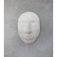 thumbnail image 4 of ACTÍVA Rigid Wrap Plaster Cloth, 12-in x 50-ft, 4 of 4