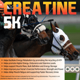 thumbnail image 2 of Creatine 5K - Energy Muscle Support Strength Recovery Horse Supplement - 25 lb Powder - 454 Servings - NXP Supplements, 2 of 7