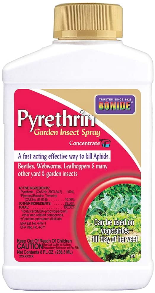 Bonide Pyrethrin Aphid Killer Concentrate, 8 Ounce Bottle