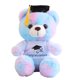 thumbnail image 2 of Decoración del hogar, decoración de la habitación, decoración de la pared Oso de peluche con graduación Regalo de graduación Oso de peluche de graduación Conmemorativo de graduación Ella Él Universida, 2 of 6