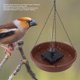 thumbnail image 3 of Fuente para pájaros Solor fuente para baño de pájaros de 14 W para parques, 3 of 8