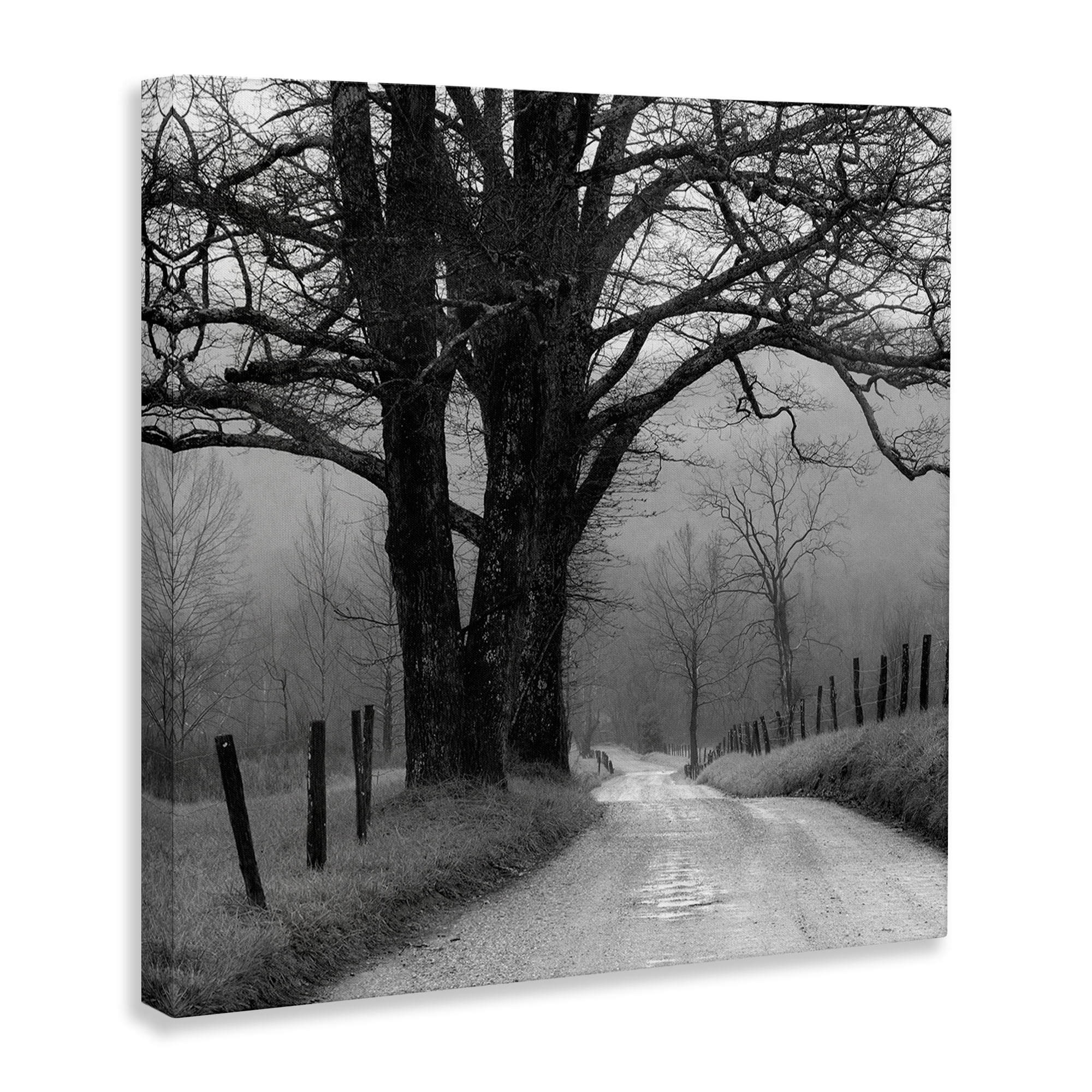 Stupell Industries Lonely Path Toward Trees Landscape & Nature Photography Wrapped Canvas Art Print Wall Art, 36 x 36