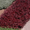 thumbnail image 2 of Brighter Blooms - Crimson Pygmy Barberry Shrub, 1 gal - No Shipping to AK, AZ, HI, IN, MA, ME, MI, ND, NY, PA, WA, WV, 2 of 2