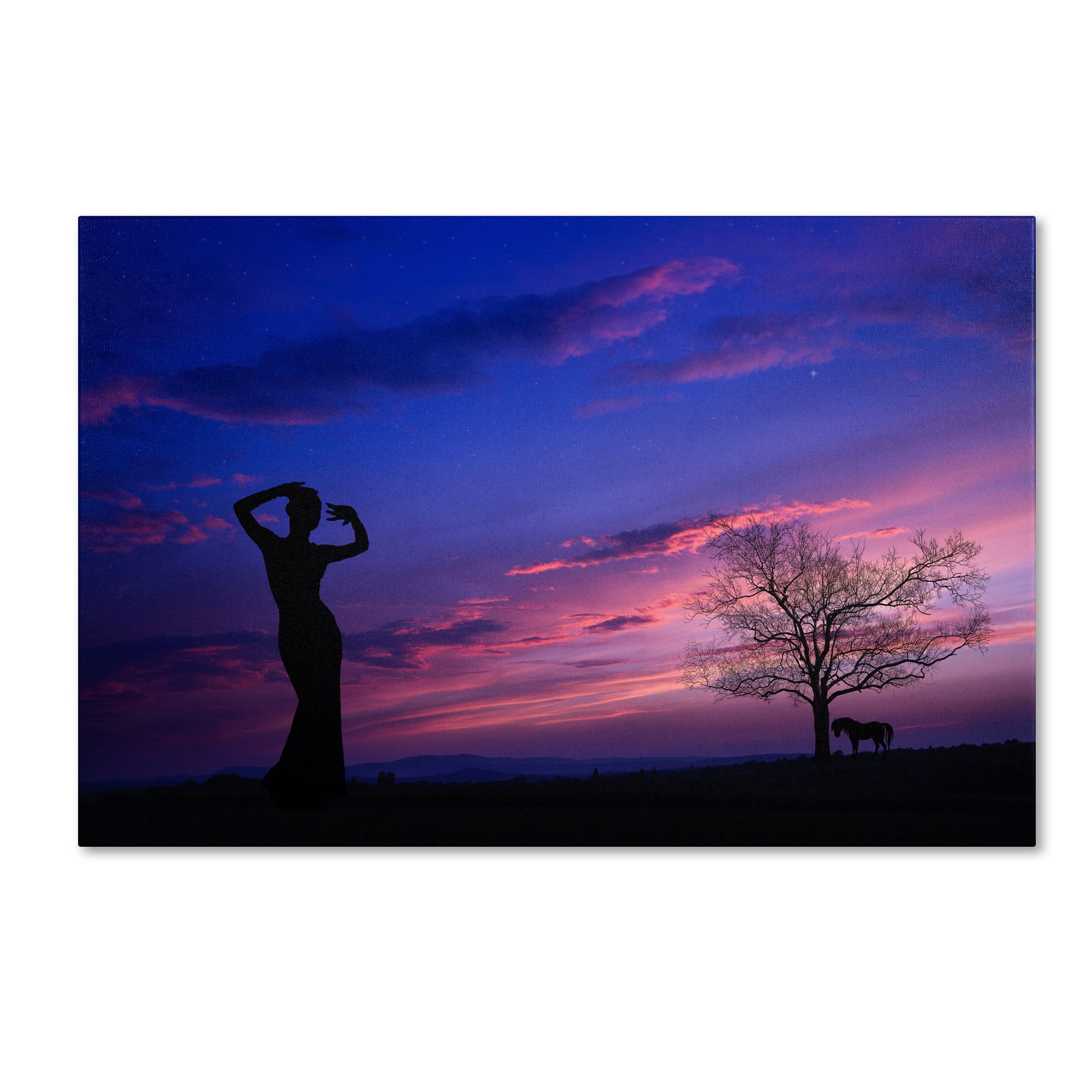 Trademark Fine Art "Dance for Me" Canvas Art by Philippe Sainte-Laudy