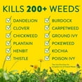 thumbnail image 5 of Preen Lawn Weed Control - 5 lb. - Covers 2,500 sq. ft., 5 of 8