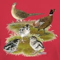 thumbnail image 3 of CafePress - Pheasant Family Dark T Shirt - Men's Classic Graphic Cotton T-Shirt, 3 of 4