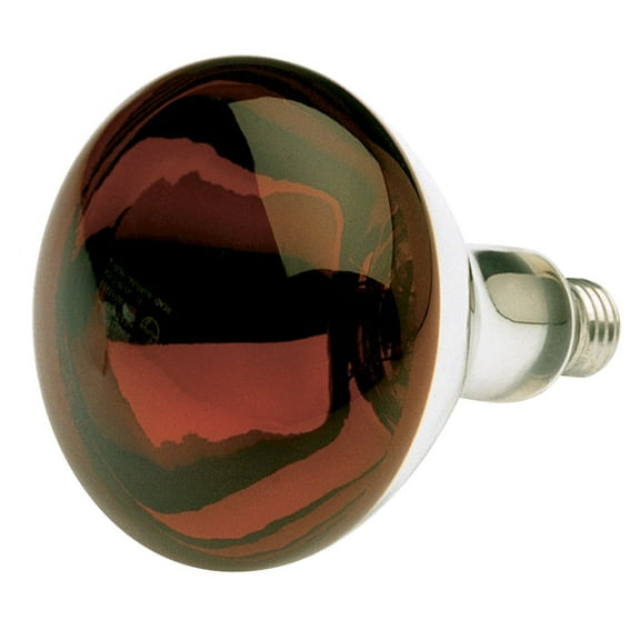 Satco S4884 - 250 watt R40 Incandescent; Red Heat; 6000 average rated hours; Medium base; 120 volts; Shatter Proof