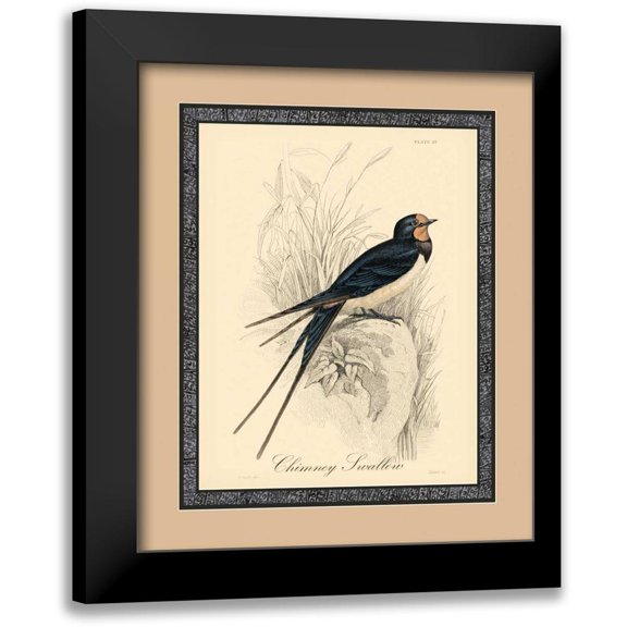 Apogee Art Services 12x14 Black Modern Framed Museum Art Print Titled - Printed Chimney Swallow
