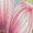 Color-2, variant on Butterflies Floral Spring Chiffon Dress V Neck Dresses Female Casual Dress Birthday Gift