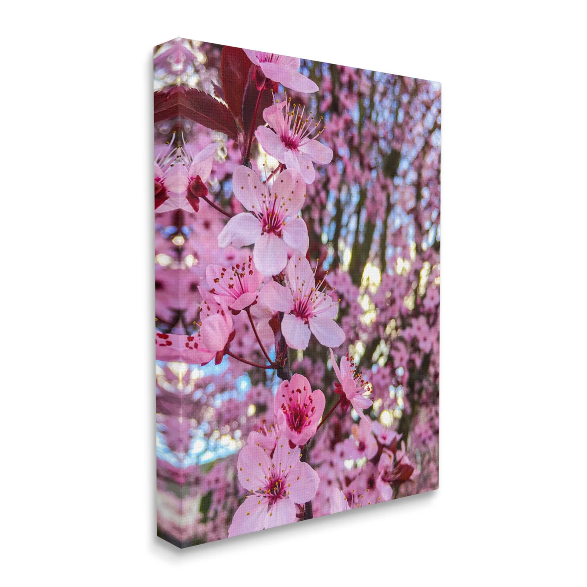 Stupell Spring Cherry Blossom Tree Nature Botanical & Floral Photography Gallery Wrapped Canvas Print Wall Art