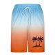 thumbnail image 5 of Pantalones Cortos Casuales para Hombre Imprimir con Bolsillos Pantalones de Playa de Cintura Elástica, Pantalones Cortos de Cintura Elástica para Hombre, 5 of 5
