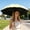 Green, variant on Manual Open Folding Sun Umbrella Water Activated Floral Print Black Coated UV Protection Parasol 8 Ribs Portable Rain Umbrella for Outdoor Travel Commute