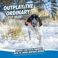 thumbnail image 5 of Chuckit! Ultra Fetch Stick Durable Rubber Interactive Outdoor Fetch Dog Toy, 12" for Dogs 10 to 120+ lb All Breeds, Orange and Blue, Pack of 1, 5 of 8