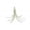 Green, variant on 6cm pack of 10 Sea Saltwater Squid Fishing Lures Luminous Glow in the Dark