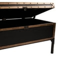 Charles Vintage Travel Trunk Coffee Table, Black and Bronze