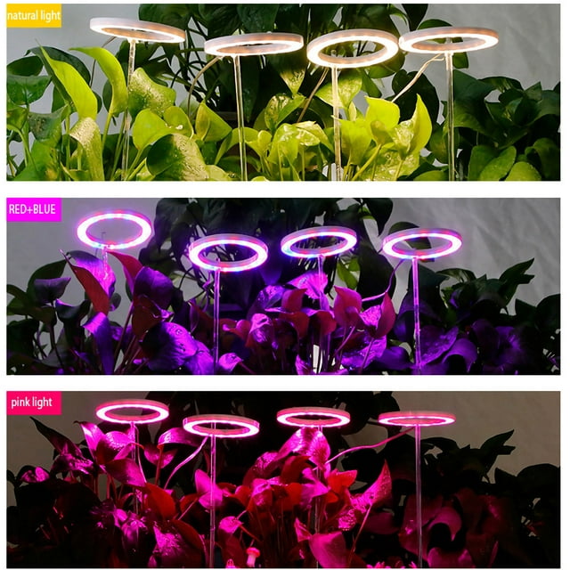 PVCS USB Angel Ring Plant Growth Light Indoor Full Succulent Light